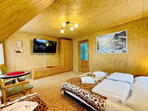 TV a/nebo společenská místnost v ubytování Apartamenty Rodzinne