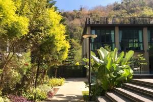 Κήπος έξω από το Forest Khaoyai by Licega