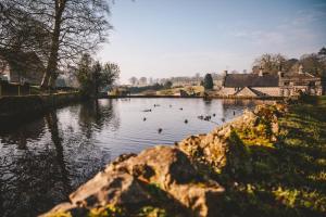 un groupe de canards nageant dans une rivière dans l'établissement Nurse's Cottage, Tissington, Derbyshire, à Ashbourne 4 autres photos