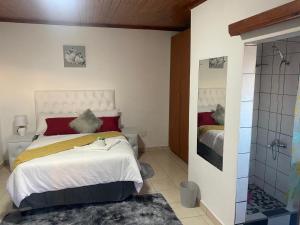 Un dormitorio con una cama grande y una ducha en SABATH LODGE, en Ciudad del Cabo