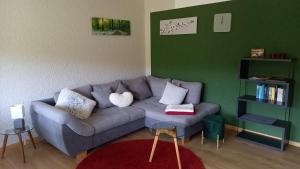 a living room with a gray couch and a green wall at Ferienwohnung Mossauer Hoehe in Mossautal