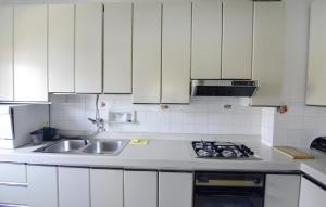 Kuchyň nebo kuchyňský kout v ubytování Apartment Diva