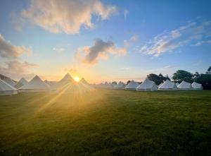 a group of white tents in a field with the setting sun at Nine Yards Bell Tents at the TT - Castletown in Castletown