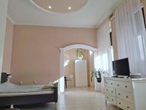 TV a/nebo společenská místnost v ubytování MainStreet apartman