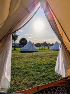 科尔雷恩Nine Yards Bell Tents - Coleraine的相册照片 更多8张照片