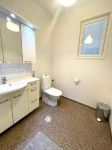 a bathroom with a toilet and a sink and a mirror at Apartment Sorsakuja in Pyhäjoki +3 photos