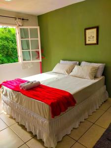 a large bed in a bedroom with a green wall at Pousada Pouso Alegre in Macuco