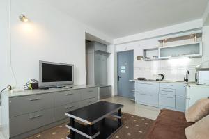 a living room with a tv and a kitchen at 1BR Apartment in Gudauri in Gudauri