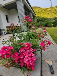 Vrt pred nastanitvijo 구례 아진이뜰 1층 전체, Gurye Ajini Garden entire first floor