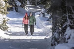 Chalet Lena v zime