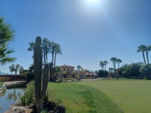 a golf course with palm trees and a green at Desert Springs Golf Course and Resort, Almería, Spain, 11 The Powderhorn in Cuevas del Almanzora