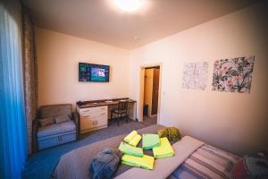 TV a/nebo společenská místnost v ubytování Wellness & Spa Hotel Čertov