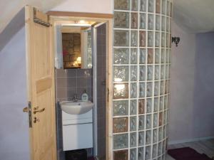 a bathroom with a glass block wall with a sink at GITE ET CHAMBRES ROQUEBILLIERE Berthemont les bains VESUBIE MERCANTOUR in Roquebillière