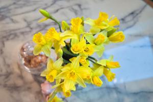 Ảnh trong thư viện ảnh của Apartament Jastrzębia Góra ở Jastrzębia Góra