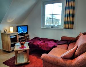 een woonkamer met een bank en een tv bij Koserow_Jugendweg_FeWo 16 in Ostseebad Koserow