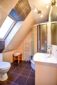a attic bathroom with a toilet and a sink at U Pabinów in Kościelisko +154 photos