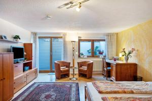 a living room with a bed and a desk with a television at Ferienwohnung bei Franka mit Sauna in Freiburg im Breisgau