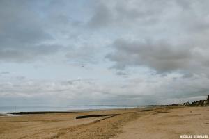 Naturlandskabet i nærheden af lejligheden