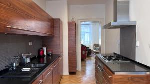 Kuchyň nebo kuchyňský kout v ubytování Stylish accommodation in the center of Prague