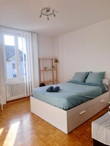 a bedroom with a large bed with blue pillows at Comfortable 1 bd apt in Peseux