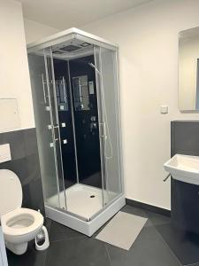 a shower in a bathroom with a toilet and a sink at Checkpoint LS 65 Mikroapartments für ein bis vier Personen in Büschdorf