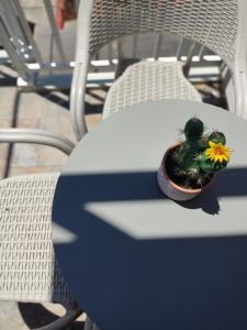 Kép Green House Skiathos szállásáról Szkiáthoszban a galériában