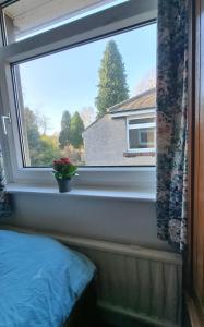 a window with a potted plant sitting on a window sill at cosy beautiful room in Lancaster