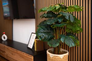 a plant in a pot sitting next to a desk at KeyHosting Apartment Zentral Parkplatz in Aschaffenburg +44 photos