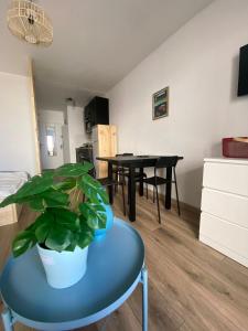 a living room with a blue table and a plant at Studio dans le village pour 2 adultes 2 enfants in Saintes-Maries-de-la-Mer