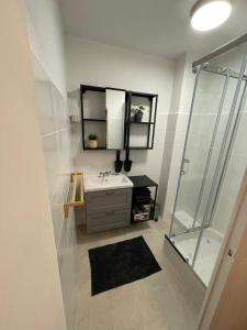 a bathroom with a sink and a mirror at Studio dans le village pour 2 adultes 2 enfants in Saintes-Maries-de-la-Mer