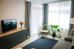 a living room with a television and a chair at Schönhier - Design Apartment mit Pool, Sauna in Schluchsee