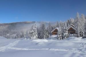 a snow covered cabin in the middle of a snow covered forest at Bründl-Chalets Hochrindl in Sirnitz-Sonnseite