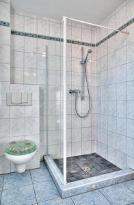 a bathroom with a shower and a toilet at Krabbenort 1 - 6b in Prerow