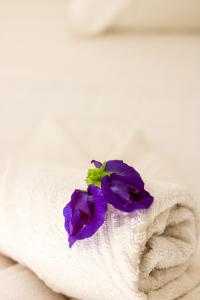 un fiore viola seduto sopra un asciugamano di Pipa Casas Blancas Residencial a Pipa