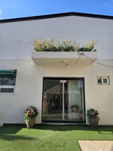 Zahrada ubytování Eulwangri Suwanee Pension