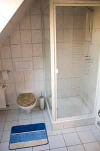 ein Bad mit einer Dusche und einem WC in der Unterkunft Am Bernsteinweg in Prerow