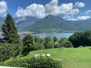 two chairs and a tree on a field with a lake at Villa Oliveto apartments in Oliveto Lario