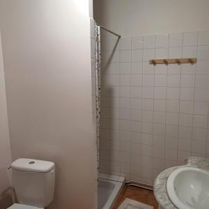 un bagno con un water e un lavandino di Gîte la maison du bonheur a Montignac-Charente