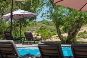 Πισίνα στο ή κοντά στο Inyati Game Lodge