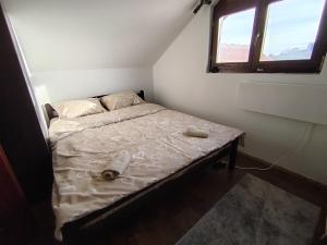 ゴーツにあるDrašković lux Gočの窓のある部屋にある小さなベッド