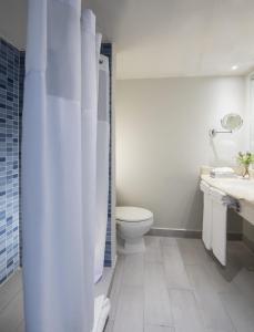 a bathroom with a toilet and a sink and a shower at Novus Plaza Hodelpa in Santo Domingo