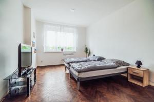 Televízia a/alebo spoločenská miestnosť v ubytovaní Skodova 4 Apartments