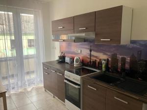 Kuchyňa alebo kuchynka v ubytovaní Skodova 4 Apartments