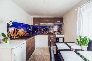 Kuchyňa alebo kuchynka v ubytovaní Skodova 4 Apartments