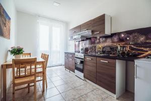 Kuchyňa alebo kuchynka v ubytovaní Skodova 4 Apartments