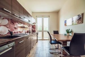 Kuchyňa alebo kuchynka v ubytovaní Skodova 4 Apartments