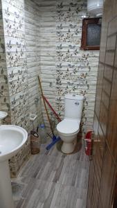 een badkamer met een toilet en een wastafel met vogels aan de muur bij siwa shaly hostel 3 in Siwa