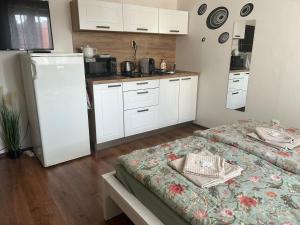 Kuchyň nebo kuchyňský kout v ubytování City Center Apartments - Moderna Brno Římské náměstí V + 19 fotografií