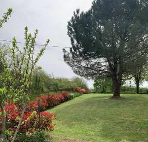 a tree in the middle of a yard with flowers at La Garde - Chambre D'hôte in Saint-Martin-de-Ribérac