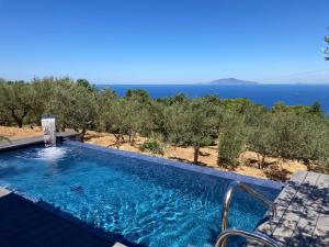 a swimming pool with a view of the ocean at “CapriOleum” esclusive place in Anacapri